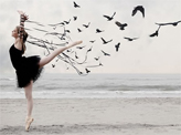 Ballet Bird