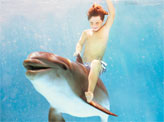 Dolphin Rider