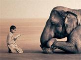 Teaching Elephant