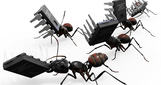 Tech Ant