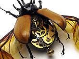 Mechanical insect