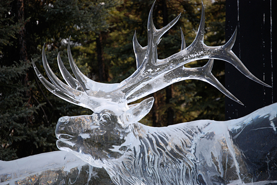Deer Ice Carving