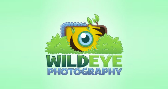 Wild Eye Photography