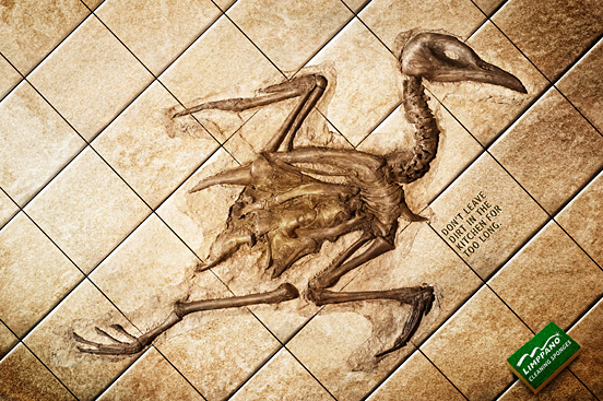 Chicken Fossil