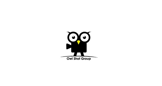 Owl Shot Group