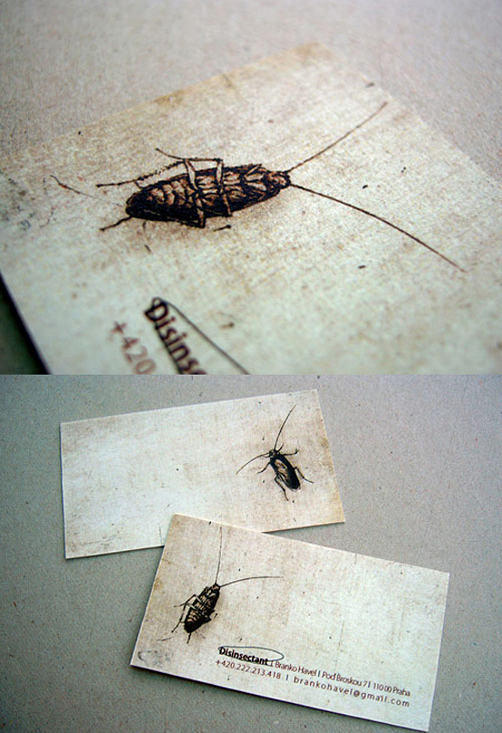 Bug Killer Card