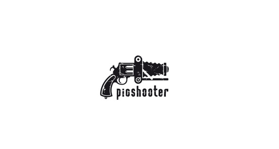 Picshooter