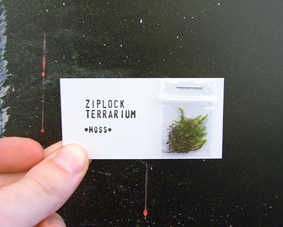Ziplock Terrarium Business Card