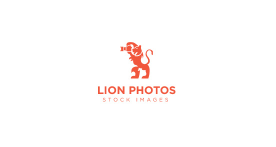 Lion Photos