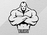 Colossus Fightwear