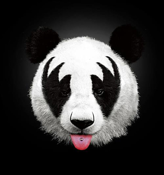 Kiss Panda