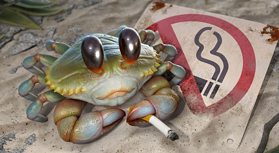 Rebel Crab