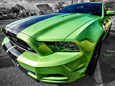Green Mustang