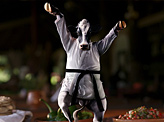 Karate Cow