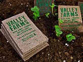 Peat Moss Business Cards