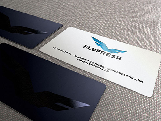 FlyFresh Branding