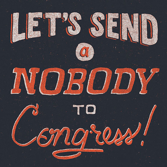 Congressional Campaign Poster