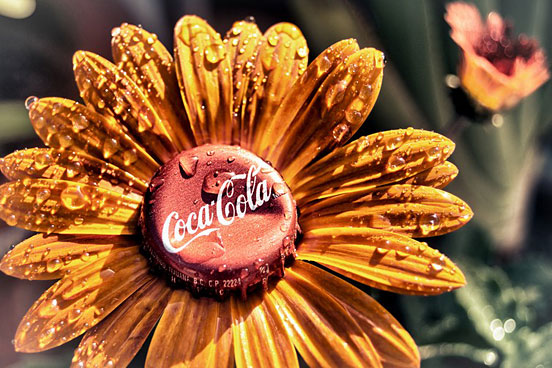 The Mexican Coca Cola Flower