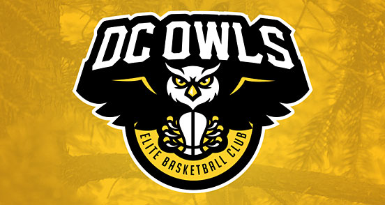DC Owls