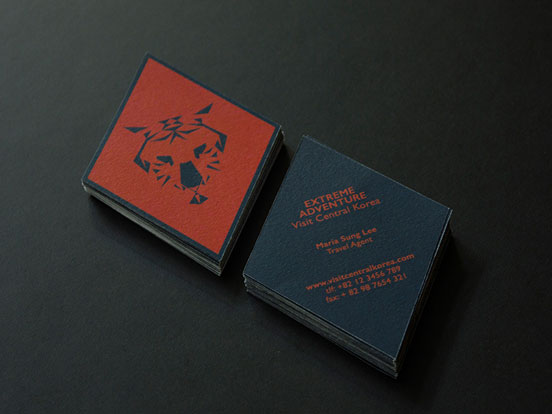 Extreme Adventure Business Cards