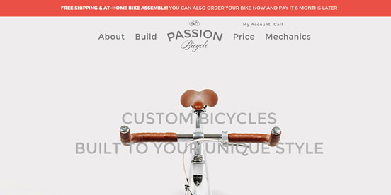 PASSION BICYCLE
