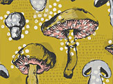 Mushroom Surface Pattern
