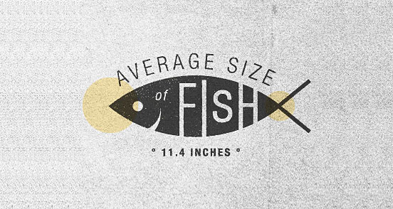 Average size