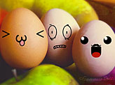 Crazy Eggs