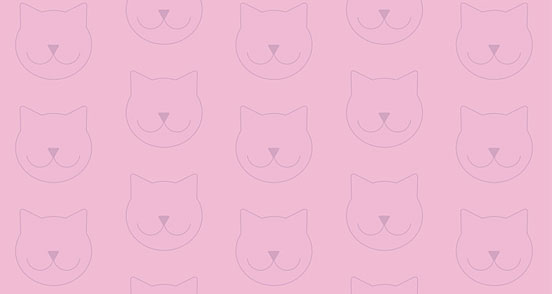 Kitty Pattern
