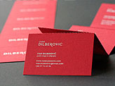 Ivan Dilberovic Business Cards
