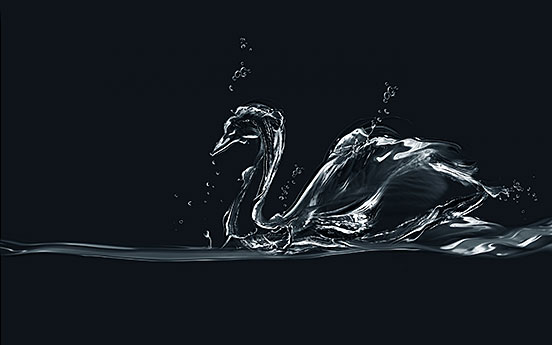 Water Swan