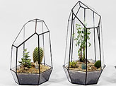 Geometric Glass Terrariums and Lamps