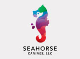 Seahorse Canines