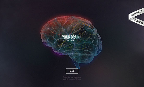 Your Brain on Poker