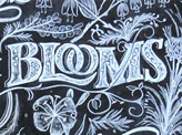Herbs & Blooms