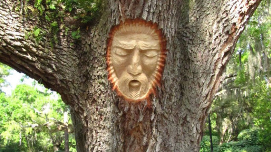 Tree spirits (2)