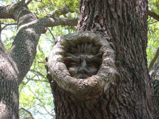 Tree spirits (4)