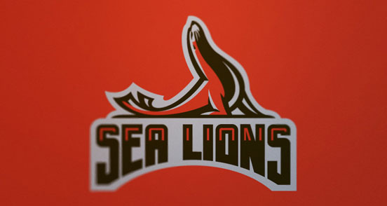 Bay Area Sea Lions