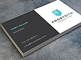 Frostbite Branding Business Card