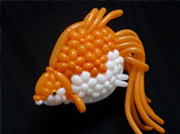 Balloon Fish