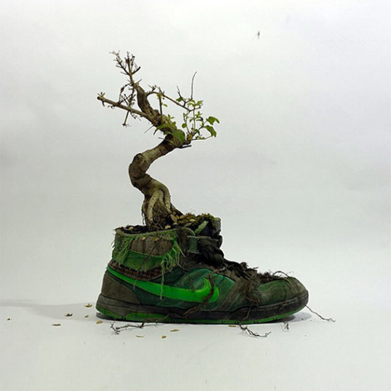 nike-shoes-made-out-of-plants-chrstophe-guinet-monsieur-plant (20)