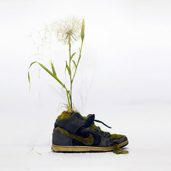 nike-shoes-made-out-of-plants-chrstophe-guinet-monsieur-plant (21)