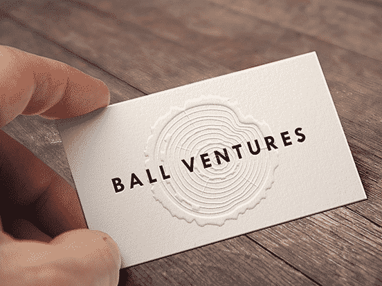Ball Ventures Business Card