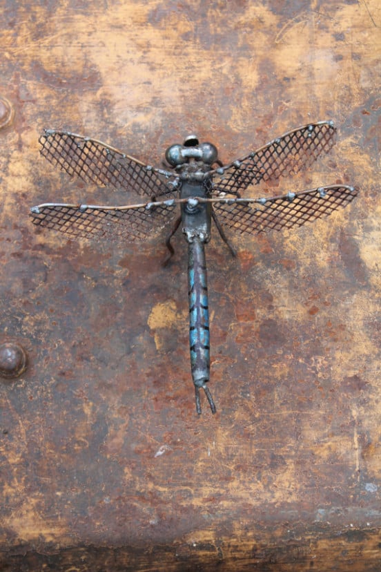 An Emperor Dragonfly