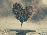 Lovely Lonely Tree