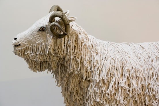 This ram was made using mops and shoe laces.2