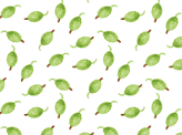 Gooseberry Pattern