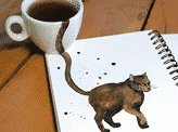 Coffees As Cats