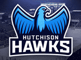 Hutchison Hawks Mascot