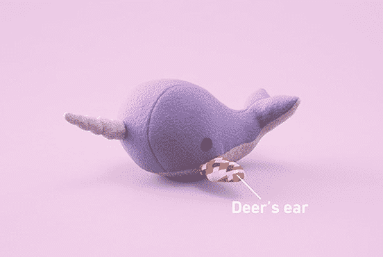 Deer’s Ear